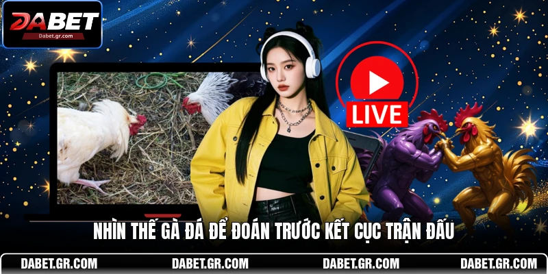 DABET ⭐️ Link Trang Chủ DABET Mới Nhất | Đăng Ký Tặng 188K Nhìn thế gà đá để đoán trước kết cục trận đấu